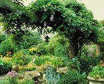 greengarden1