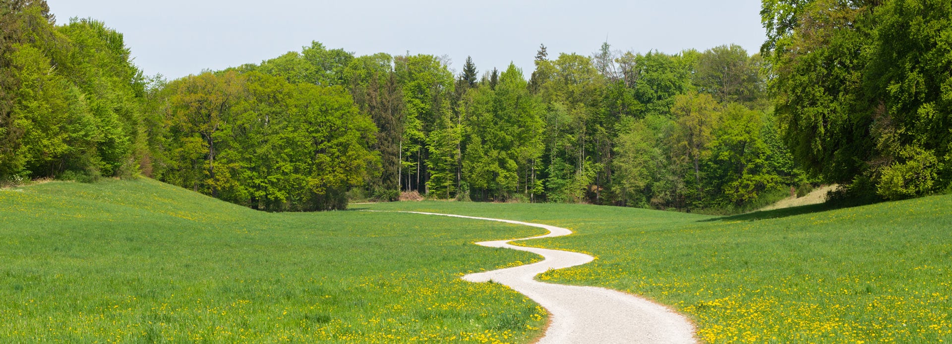 winding-grass-path-iStock-1221410303-crop@1920x695