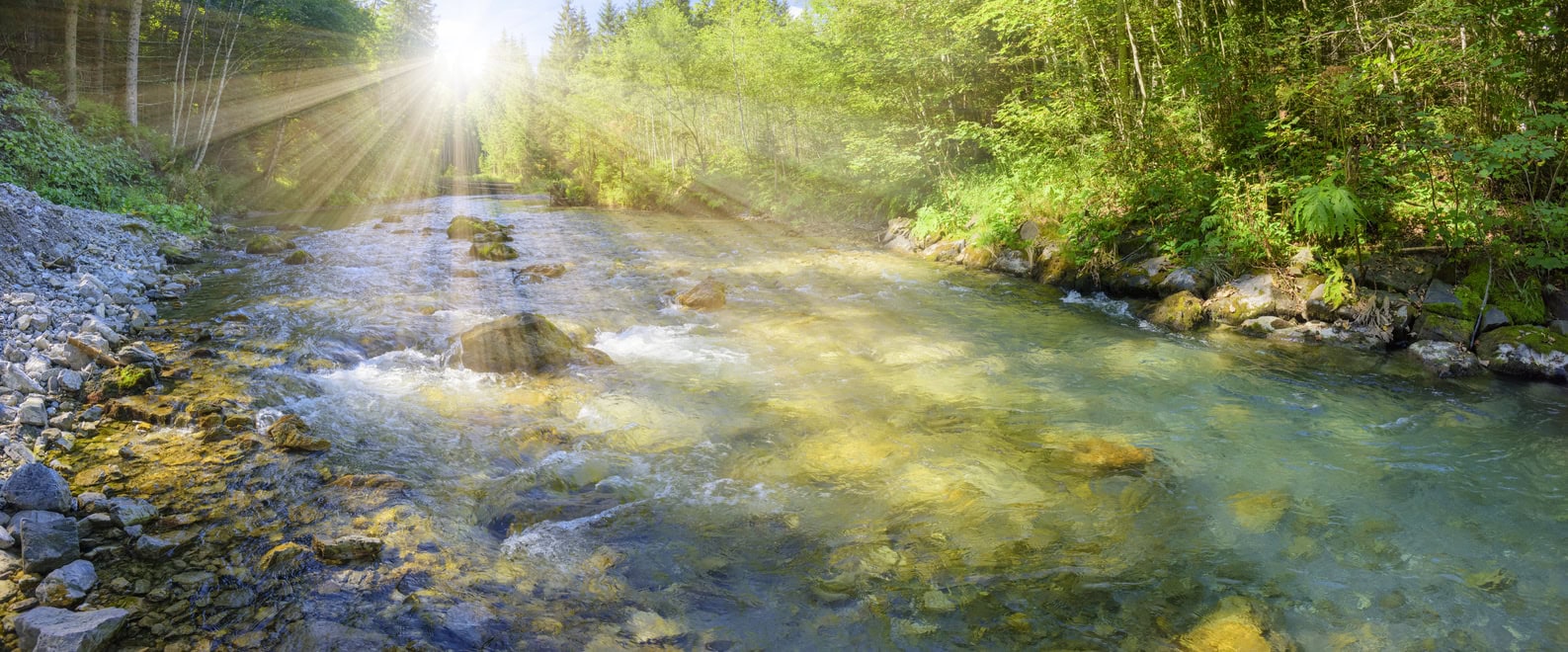 panorama scene in Bavaria with river Isar in canyon