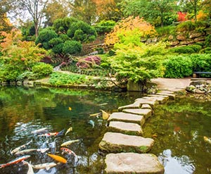 stone-path-japanese-garden-crop@300x247